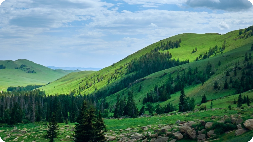 The rolling green hills of Mongolia's Eastern Steppe